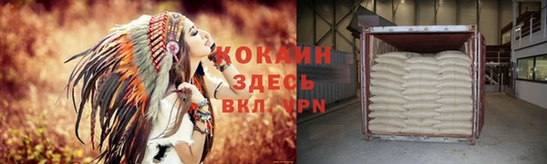 шишки Горнозаводск