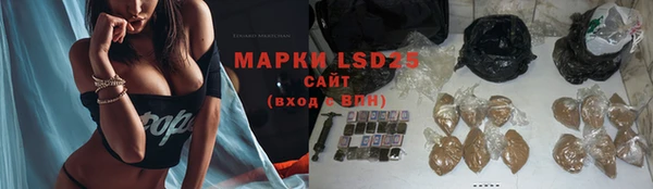 шишки Горнозаводск