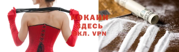 шишки Горнозаводск