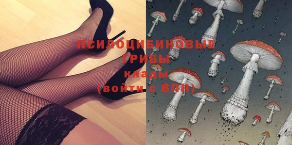 шишки Горнозаводск